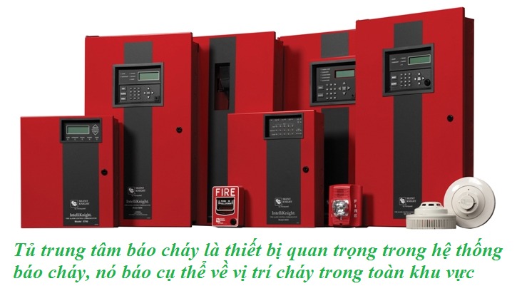 Chọn địa chỉ cung cấp uy tín là bước đầu quan trọng