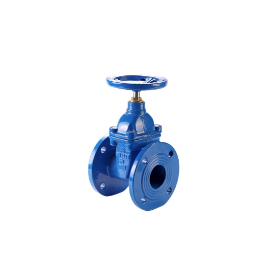 Van cửa ty chìm mặt bích PN16