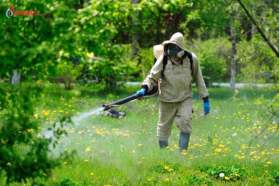 Mặt nạ phòng độc được sử dụng rộng rãi trong các môi trường hóa chất có độc tính cao Mặt nạ phòng độc được sử dụng rộng rãi trong các môi trường hóa chất có độc tính cao
